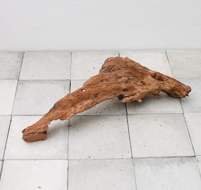 UWS Material Market / Sulawesi Wood���� ���饦�������å� / ����ή�� �� �� SW2107-14 ��