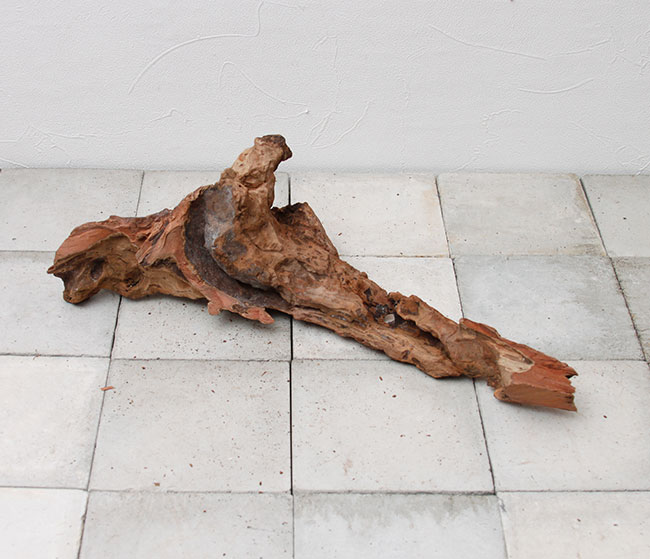 UWS Material Market / Sulawesi Wood���� ���饦�������å� / ����ή�� �� �� SW2107-14 ��