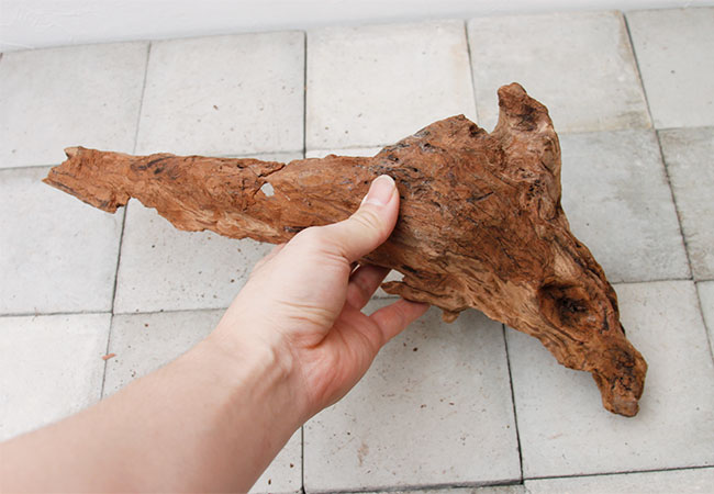 UWS Material Market / Sulawesi Wood���� ���饦�������å� / ����ή�� �� �� SW2107-14 ��