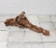 UWS Material Market / Sulawesi Wood���� ���饦�������å� / ����ή�� �� �� SW2107-14 ��