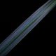 Mapania caudata��[ �ޥѥ˥����������� ]���� PN250822-04 ��