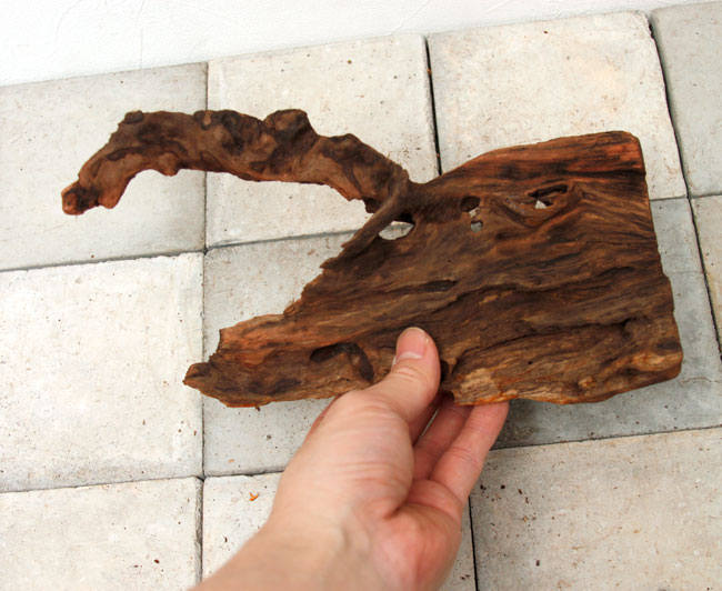 UWS Material Market / Sulawesi Wood���� ���饦�������å� / ����ή�� �� �� SW2303-59 ��