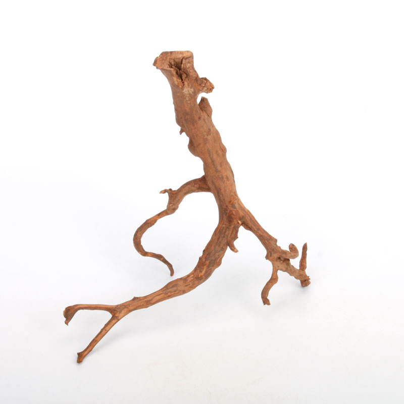 UWS Material Market / Sumatra Wood ROOTS���� ���ޥȥ饦�åɡ��롼�� / ����ή�� �� �� SR2508-01 ��