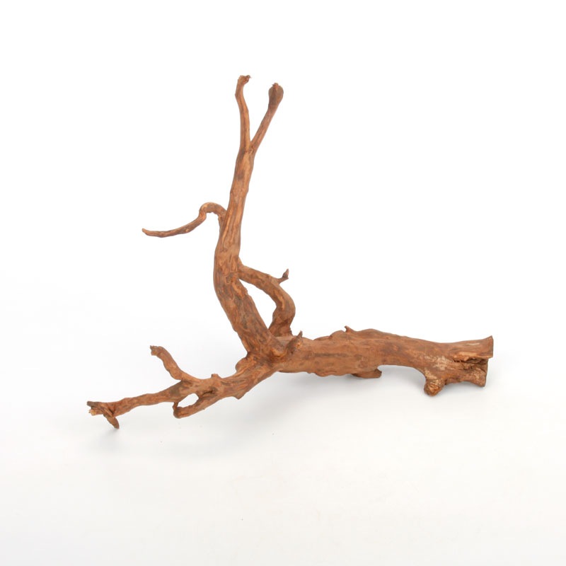 UWS Material Market / Sumatra Wood ROOTS���� ���ޥȥ饦�åɡ��롼�� / ����ή�� �� �� SR2508-01 ��