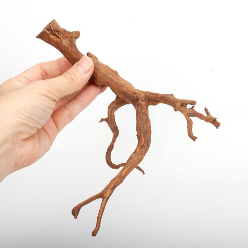 UWS Material Market / Sumatra Wood ROOTS���� ���ޥȥ饦�åɡ��롼�� / ����ή�� �� �� SR2508-01 ��