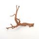 UWS Material Market / Sumatra Wood ROOTS���� ���ޥȥ饦�åɡ��롼�� / ����ή�� �� �� SR2508-01 ��