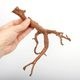 UWS Material Market / Sumatra Wood ROOTS���� ���ޥȥ饦�åɡ��롼�� / ����ή�� �� �� SR2508-01 ��