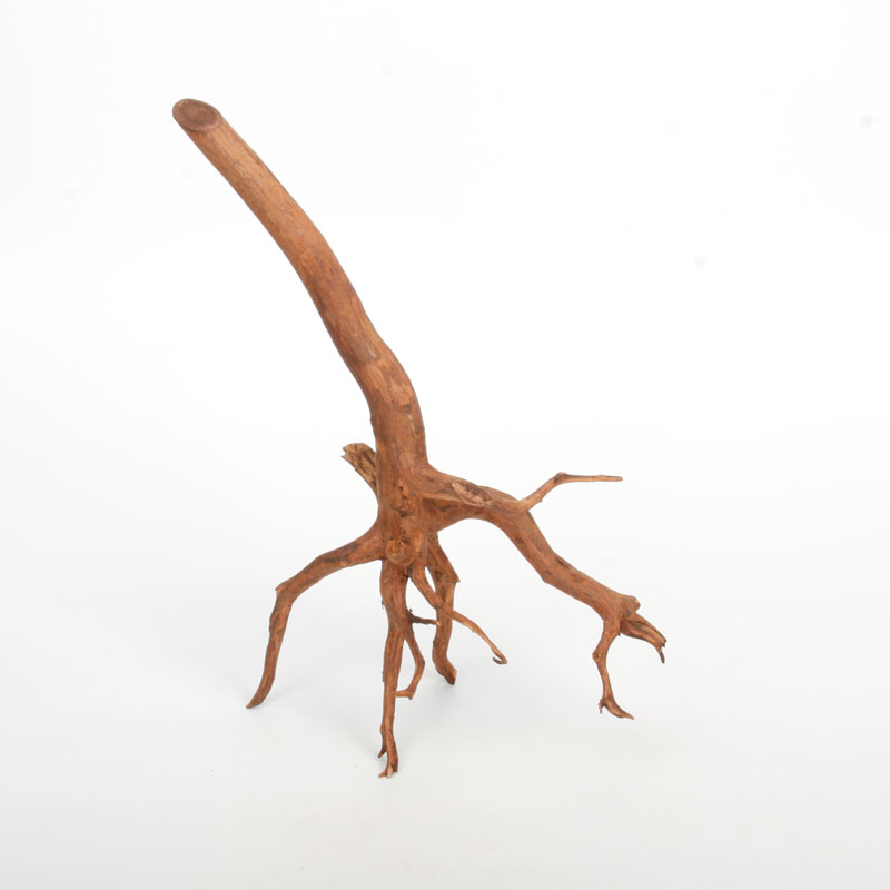 UWS Material Market / Sumatra Wood ROOTS���� ���ޥȥ饦�åɡ��롼�� / ����ή�� �� �� SR2508-03 ��
