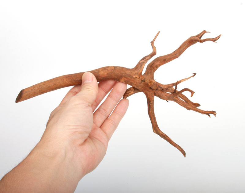 UWS Material Market / Sumatra Wood ROOTS���� ���ޥȥ饦�åɡ��롼�� / ����ή�� �� �� SR2508-03 ��