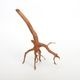 UWS Material Market / Sumatra Wood ROOTS���� ���ޥȥ饦�åɡ��롼�� / ����ή�� �� �� SR2508-03 ��