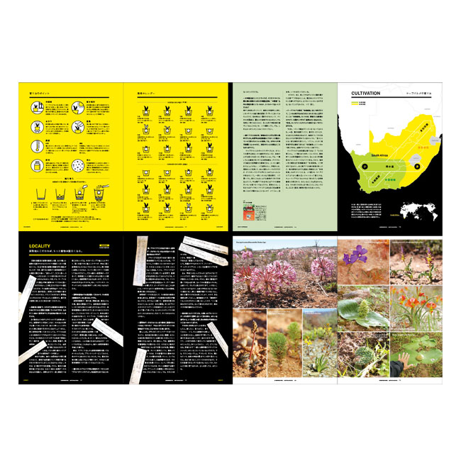 UNDERGROUNDS -CAPE BULB BOOK- FUMIO FUJIKAWA