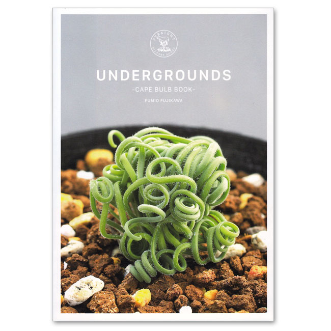 UNDERGROUNDS -CAPE BULB BOOK- FUMIO FUJIKAWA
