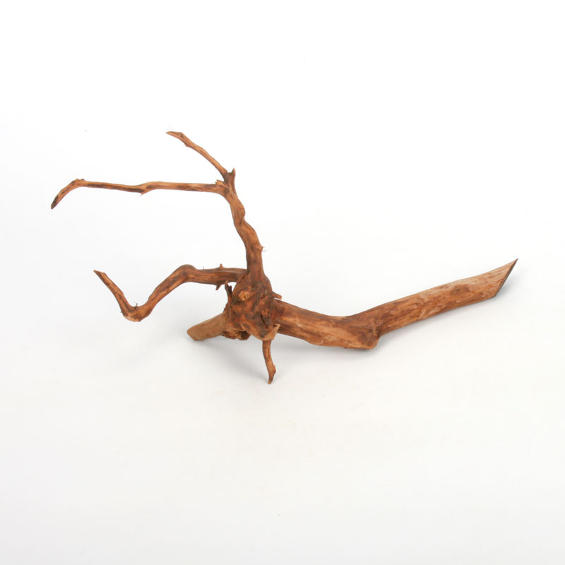 UWS Material Market / Sumatra Wood ROOTS���� ���ޥȥ饦�åɡ��롼�� / ����ή�� �� �� SR2508-05 ��