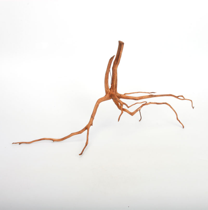 UWS Material Market / Sumatra Wood ROOTS���� ���ޥȥ饦�åɡ��롼�� / ����ή�� �� �� SR2508-06 ��