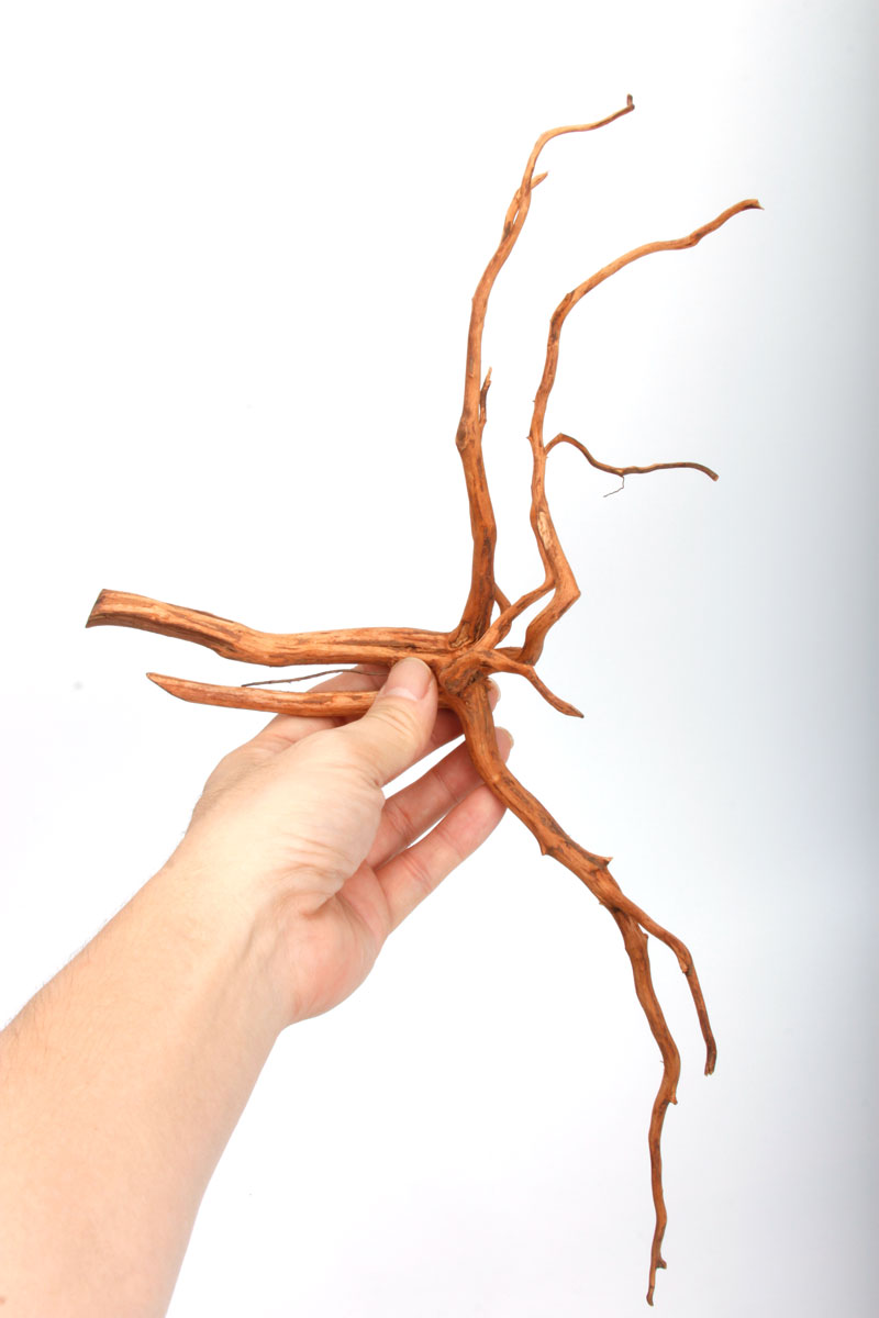 UWS Material Market / Sumatra Wood ROOTS���� ���ޥȥ饦�åɡ��롼�� / ����ή�� �� �� SR2508-06 ��