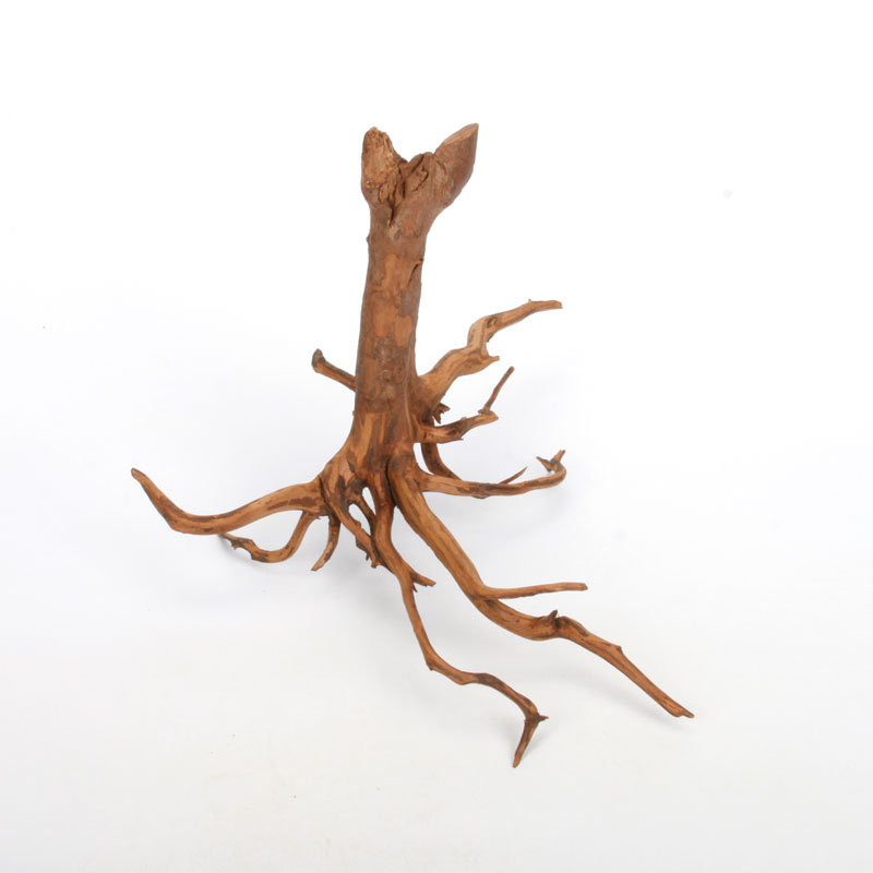 UWS Material Market / Sumatra Wood ROOTS���� ���ޥȥ饦�åɡ��롼�� / ����ή�� �� �� SR2508-07 ��