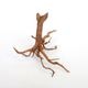 UWS Material Market / Sumatra Wood ROOTS���� ���ޥȥ饦�åɡ��롼�� / ����ή�� �� �� SR2508-07 ��