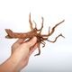 UWS Material Market / Sumatra Wood ROOTS���� ���ޥȥ饦�åɡ��롼�� / ����ή�� �� �� SR2508-07 ��