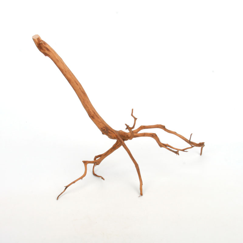 UWS Material Market / Sumatra Wood ROOTS���� ���ޥȥ饦�åɡ��롼�� / ����ή�� �� �� SR2508-09 ��