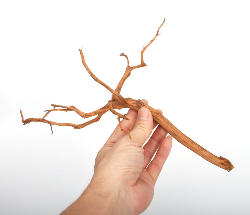 UWS Material Market / Sumatra Wood ROOTS���� ���ޥȥ饦�åɡ��롼�� / ����ή�� �� �� SR2508-09 ��