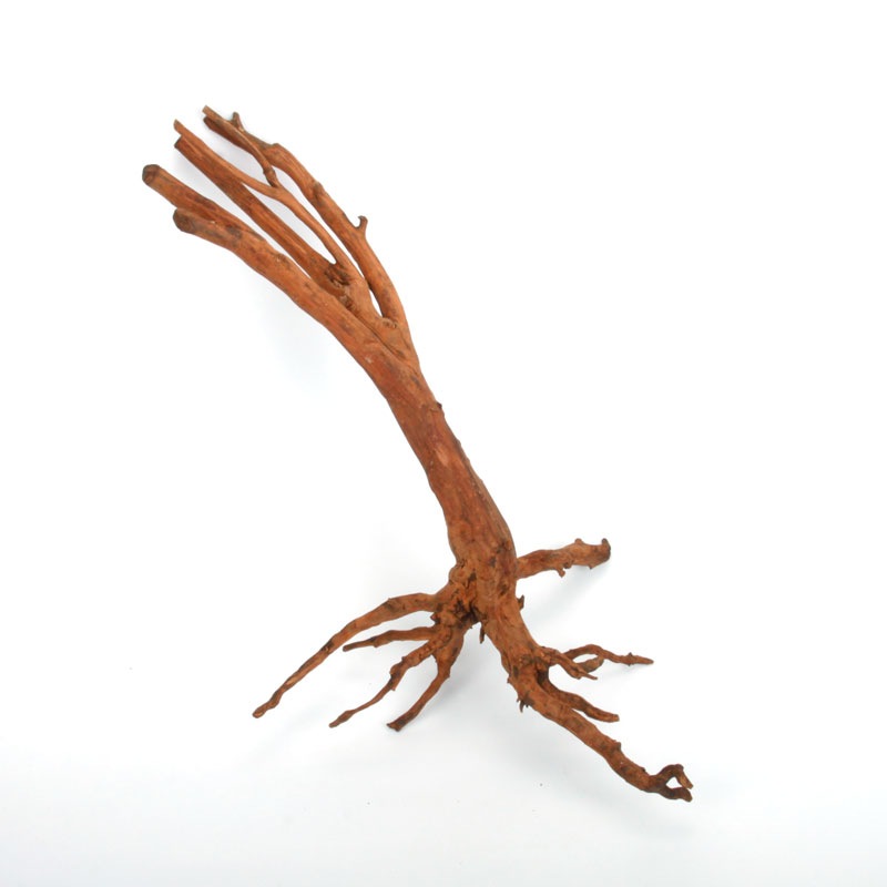 UWS Material Market / Sumatra Wood ROOTS���� ���ޥȥ饦�åɡ��롼�� / ����ή�� �� �� SR2508-11 ��