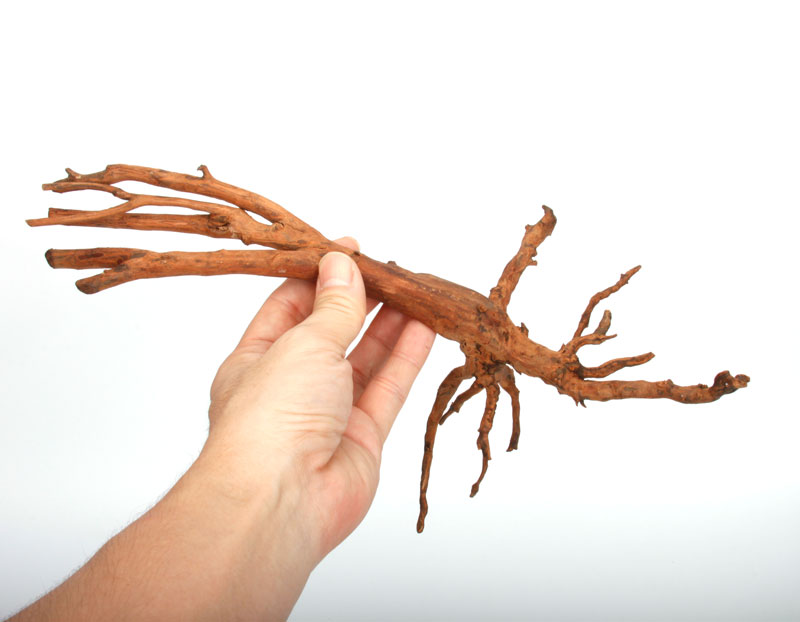 UWS Material Market / Sumatra Wood ROOTS���� ���ޥȥ饦�åɡ��롼�� / ����ή�� �� �� SR2508-11 ��
