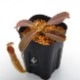 Nepenthes maxima "  Wavy-leaf "��[ �ͥڥ�ƥ����ޥ����� "�������ӡ��꡼��" ]���� Borneo Exotics / BE-3786 �ۡ� PN190122-22 ��