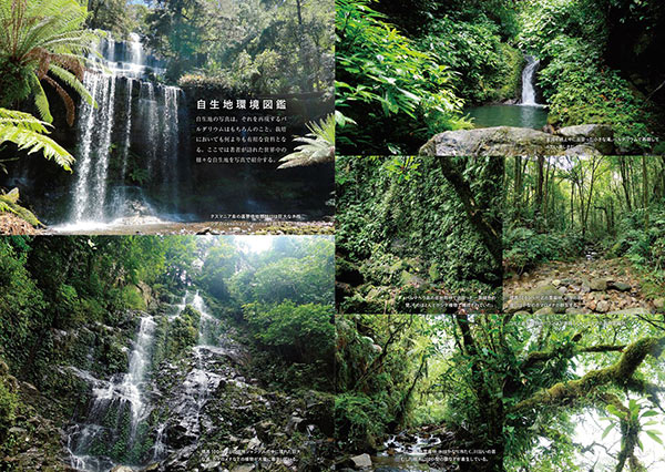 ѥꥦ ϥɥ֥å 缫ηʿܤ˺롢饹Υ󥰥