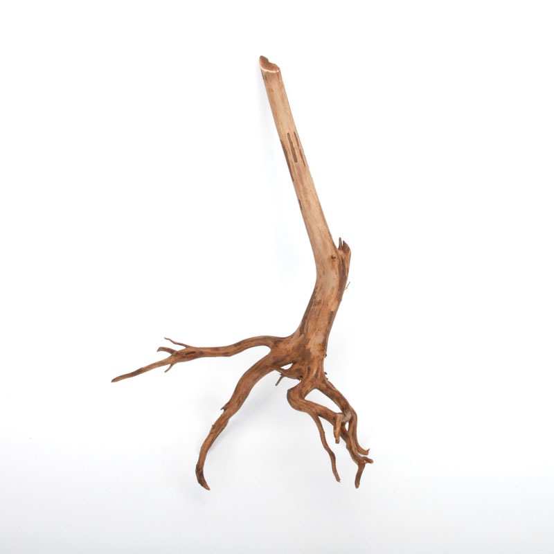 UWS Material Market / Sumatra Wood ROOTS���� ���ޥȥ饦�åɡ��롼�� / ����ή�� �� �� SR2508-18 ��