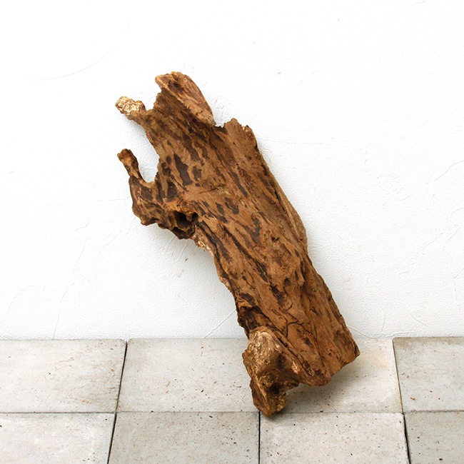 UWS Material Market / Sulawesi Wood���� ���饦�������å� / ����ή�� �� �� SW2209-55 ��