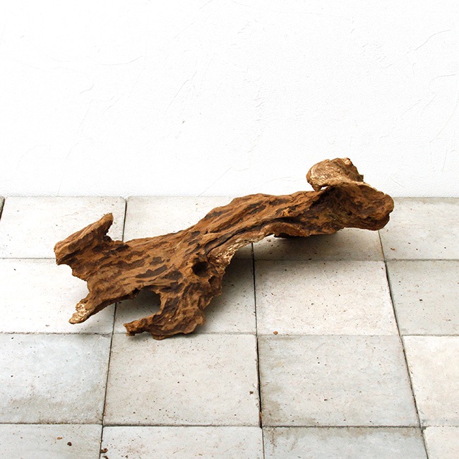 UWS Material Market / Sulawesi Wood���� ���饦�������å� / ����ή�� �� �� SW2209-55 ��