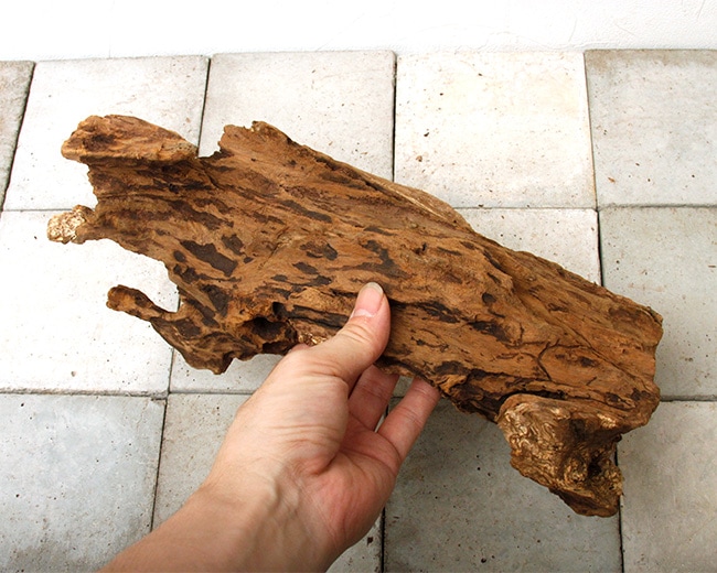 UWS Material Market / Sulawesi Wood���� ���饦�������å� / ����ή�� �� �� SW2209-55 ��