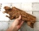 UWS Material Market / Sulawesi Wood���� ���饦�������å� / ����ή�� �� �� SW2209-55 ��