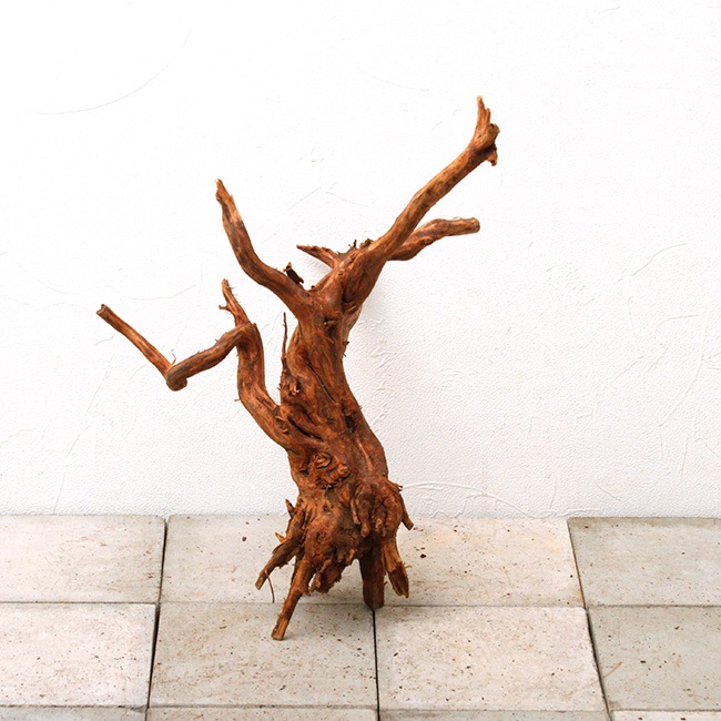 UWS Material Market / Sumatra Wood���� ���ޥȥ饦�å� / ����ή�� �� �� SW2209-115Z ��