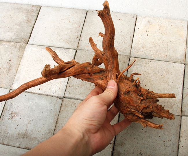 UWS Material Market / Sumatra Wood���� ���ޥȥ饦�å� / ����ή�� �� �� SW2209-115Z ��