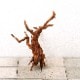 UWS Material Market / Sumatra Wood���� ���ޥȥ饦�å� / ����ή�� �� �� SW2209-115Z ��