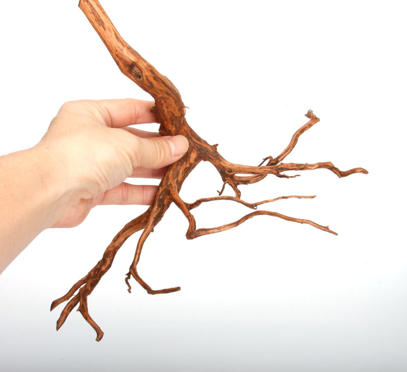 UWS Material Market / Sumatra Wood ROOTS���� ���ޥȥ饦�åɡ��롼�� / ����ή�� �� �� SR2508-22 ��