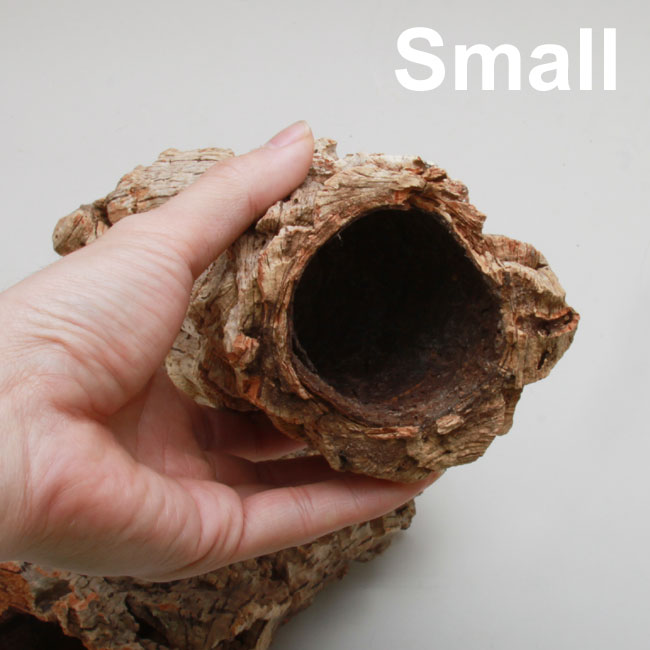 Virjin Cork バージンコルク レイアウト素材としてや着生植物にも最適です