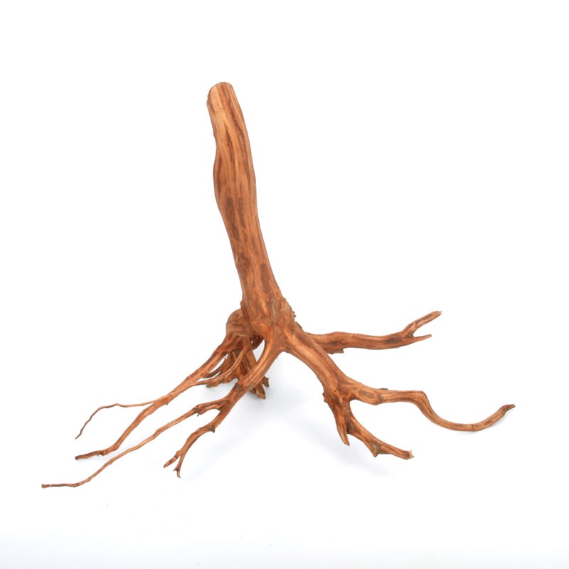 UWS Material Market / Sumatra Wood ROOTS���� ���ޥȥ饦�åɡ��롼�� / ����ή�� �� �� SR2508-25 ��