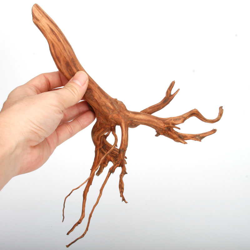 UWS Material Market / Sumatra Wood ROOTS���� ���ޥȥ饦�åɡ��롼�� / ����ή�� �� �� SR2508-25 ��