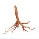 UWS Material Market / Sumatra Wood ROOTS���� ���ޥȥ饦�åɡ��롼�� / ����ή�� �� �� SR2508-25 ��