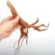 UWS Material Market / Sumatra Wood ROOTS���� ���ޥȥ饦�åɡ��롼�� / ����ή�� �� �� SR2508-25 ��