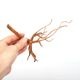 UWS Material Market / Sumatra Wood ROOTS���� ���ޥȥ饦�åɡ��롼�� / ����ή�� �� �� SR2508-29 ��