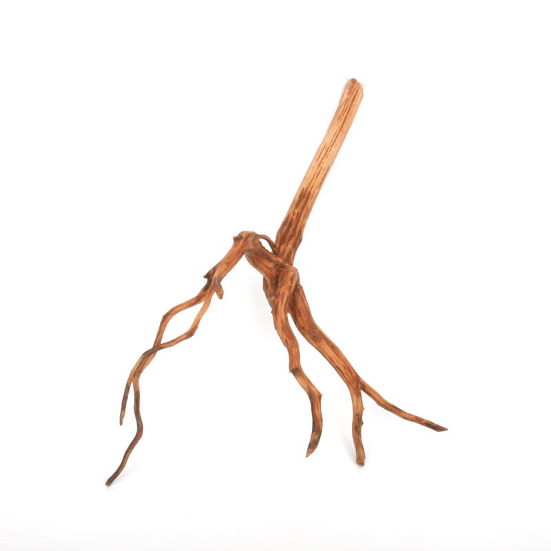 UWS Material Market / Sumatra Wood ROOTS���� ���ޥȥ饦�åɡ��롼�� / ����ή�� �� �� SR2508-30 ��