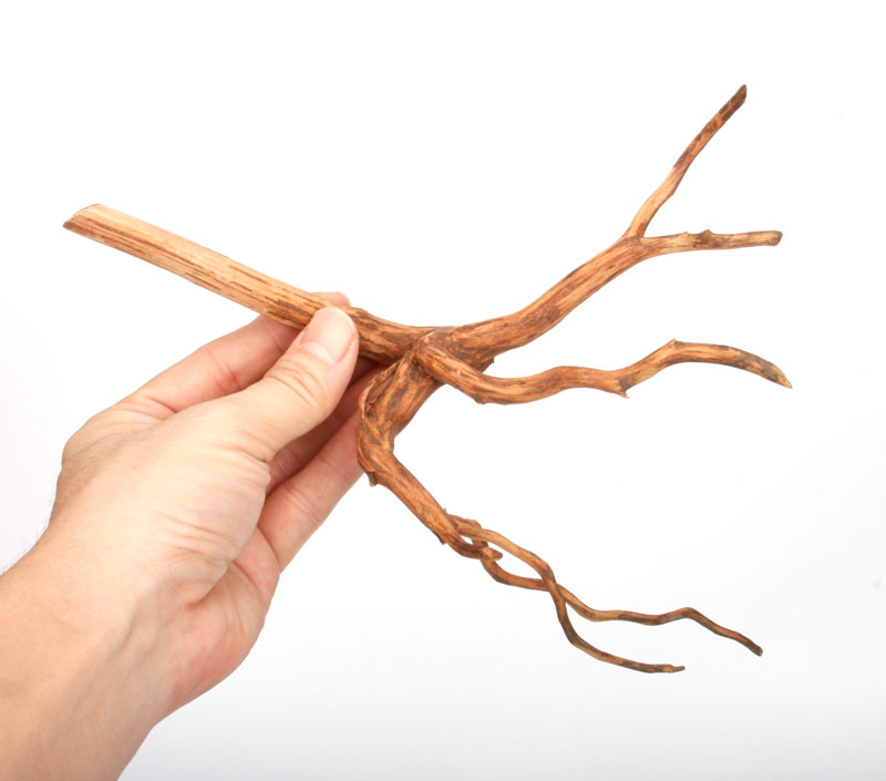 UWS Material Market / Sumatra Wood ROOTS���� ���ޥȥ饦�åɡ��롼�� / ����ή�� �� �� SR2508-30 ��