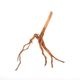 UWS Material Market / Sumatra Wood ROOTS���� ���ޥȥ饦�åɡ��롼�� / ����ή�� �� �� SR2508-30 ��