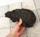 UWS Material Market / SAMURAI LAVA ROCK���� ����饤����Х��å� / Ķ¿�����ϴ��� �� �� ��������/ SRL-06 ��