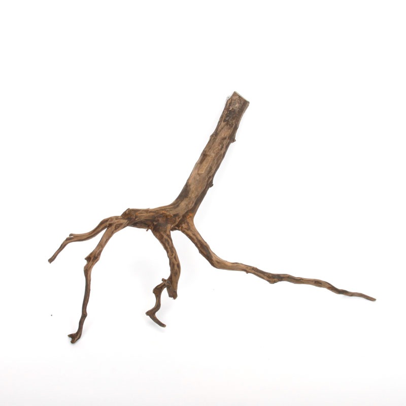 Drift Wood / �ɥ�եȥ��åɡ��� �֥�å� / S / NB2508-02 �� [ �ѥ���ꥦ�ࡢ�����ꥦ��Υ쥤�����Ȥ˺�Ŭ��ή�� ]