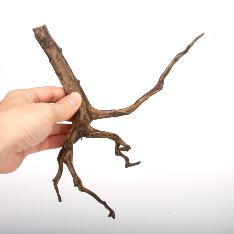 Drift Wood / �ɥ�եȥ��åɡ��� �֥�å� / S / NB2508-02 �� [ �ѥ���ꥦ�ࡢ�����ꥦ��Υ쥤�����Ȥ˺�Ŭ��ή�� ]