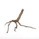 Drift Wood / �ɥ�եȥ��åɡ��� �֥�å� / S / NB2508-02 �� [ �ѥ���ꥦ�ࡢ�����ꥦ��Υ쥤�����Ȥ˺�Ŭ��ή�� ]
